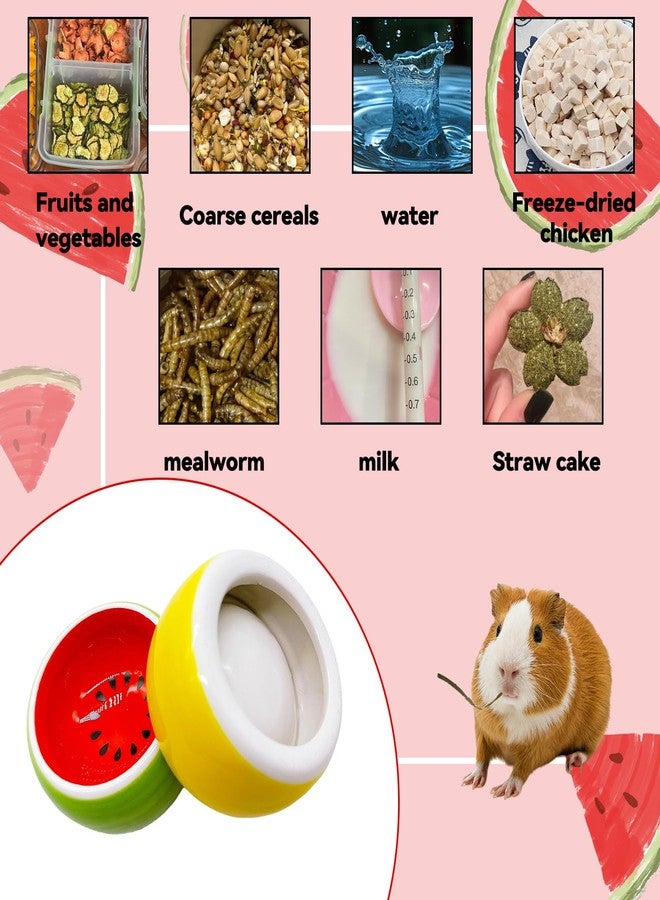 هامليدي وعاء هامستر هاميليدي، وعاء سيراميك لإطعام الحيوانات الأليفة بالماء والطعام، مناسب لخنزير غينيا والجرذ والفأر والشنشيلة والقنفذ والسنجاب الطائر (قطعتان) - Image 3